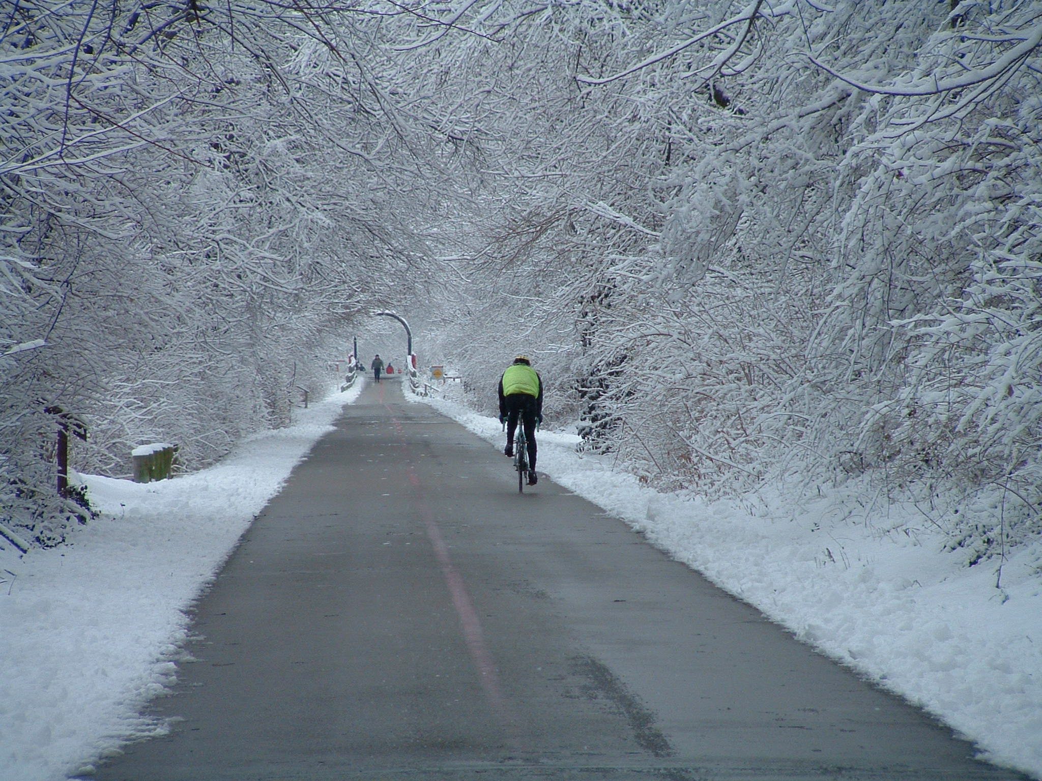 Winter Cycling Image